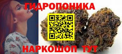 шишки Кунгур