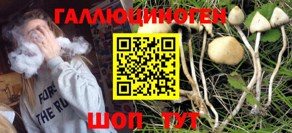 Псилоцибиновые грибы Magic Shrooms  Псилоцибиновые грибы мухоморы  Чита  Вход с VPN 