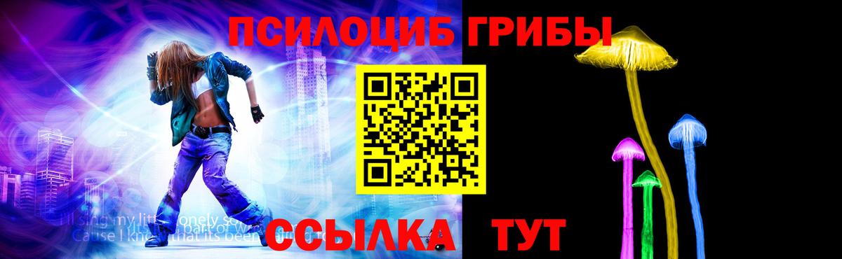 Псилоцибиновые грибы мицелий Чита