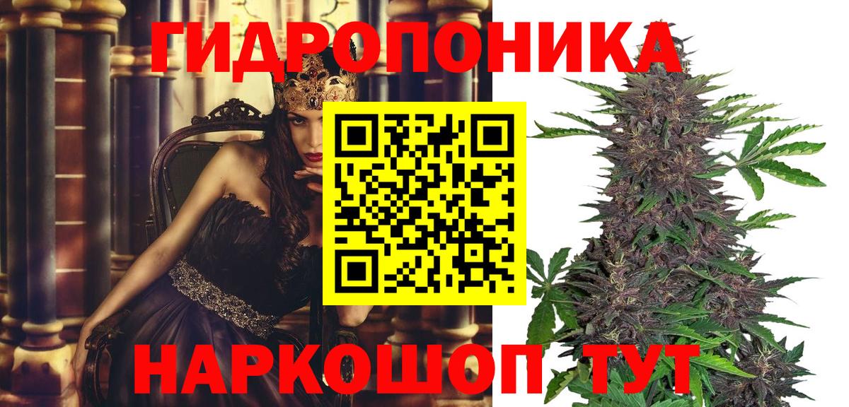 Бошки марихуана конопля Чита